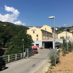 S.S.D Amo Bailar A.R.L.