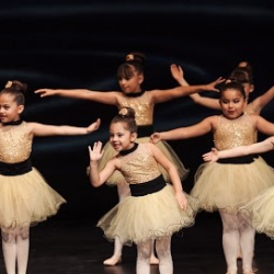 A Step Above School of Performing Arts LLC