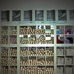 Attitude Diffusion, articles de danse.