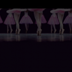 Andover Discount Dance & Costume