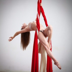 Школа pole dance 'Avenue Art Lab'