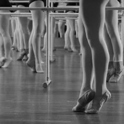 Barbara Ann's School of Dance