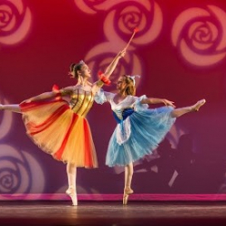 Ballet Academy of Charleston