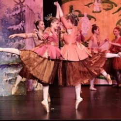 Ballettschule Niederreiter Ulrike