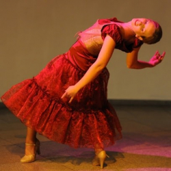 Ballett- und Tanzstudio Sander-Wilke