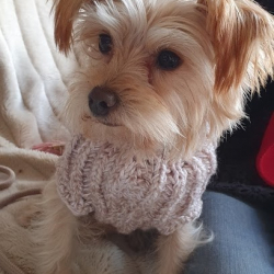 Ballett & Tanzstudio M. Balzer