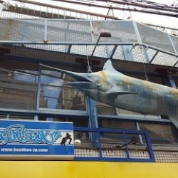 Beat Box Dance Studio