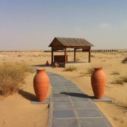 民族舞踊・ベリーダンス タクシーム