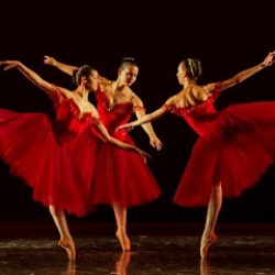 Cultural Study Campidanza ASD