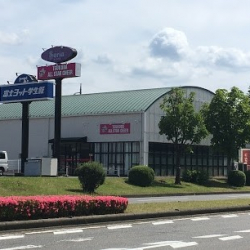 TSUKUBA ALL STAR CHEER