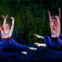 Studio de Danza Coppelia